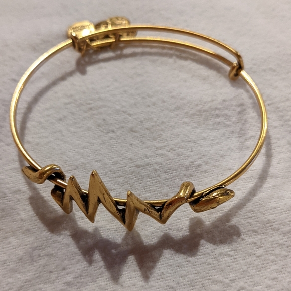 Alex and Ani Set of 11 Bamboo, Lightning, & Beaded Bangles - Picture 6 of 8